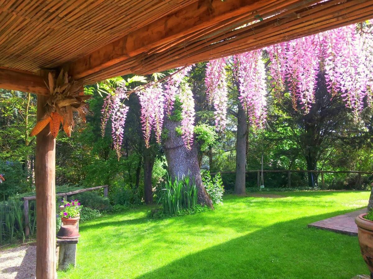 Tuscan Hills - Stonehouse, Garden & Pool Виккьо Экстерьер фото