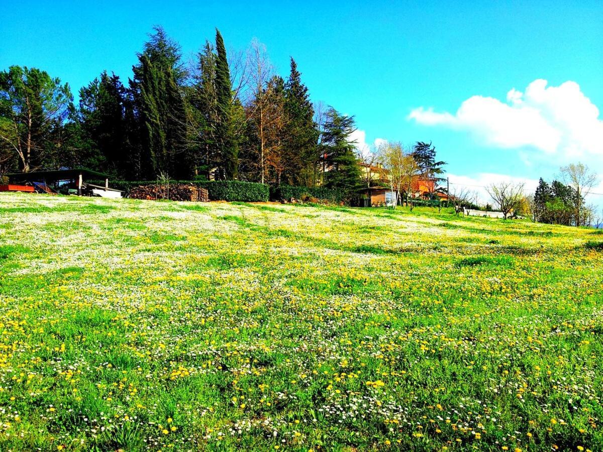 Tuscan Hills - Stonehouse, Garden & Pool Виккьо Экстерьер фото