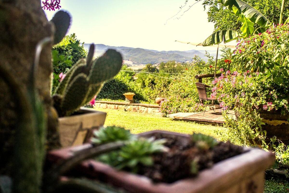 Tuscan Hills - Stonehouse, Garden & Pool Виккьо Экстерьер фото