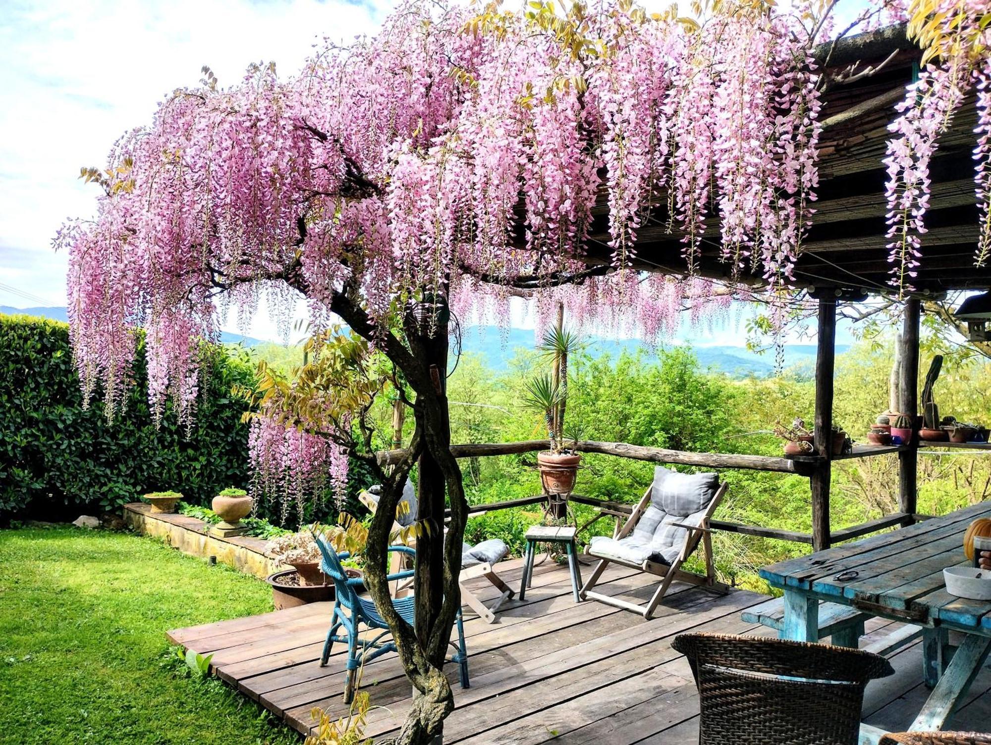 Tuscan Hills - Stonehouse, Garden & Pool Виккьо Экстерьер фото